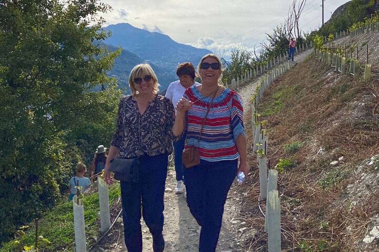 Passeggiata tra i vigneti di Sion e vino e cena — 5