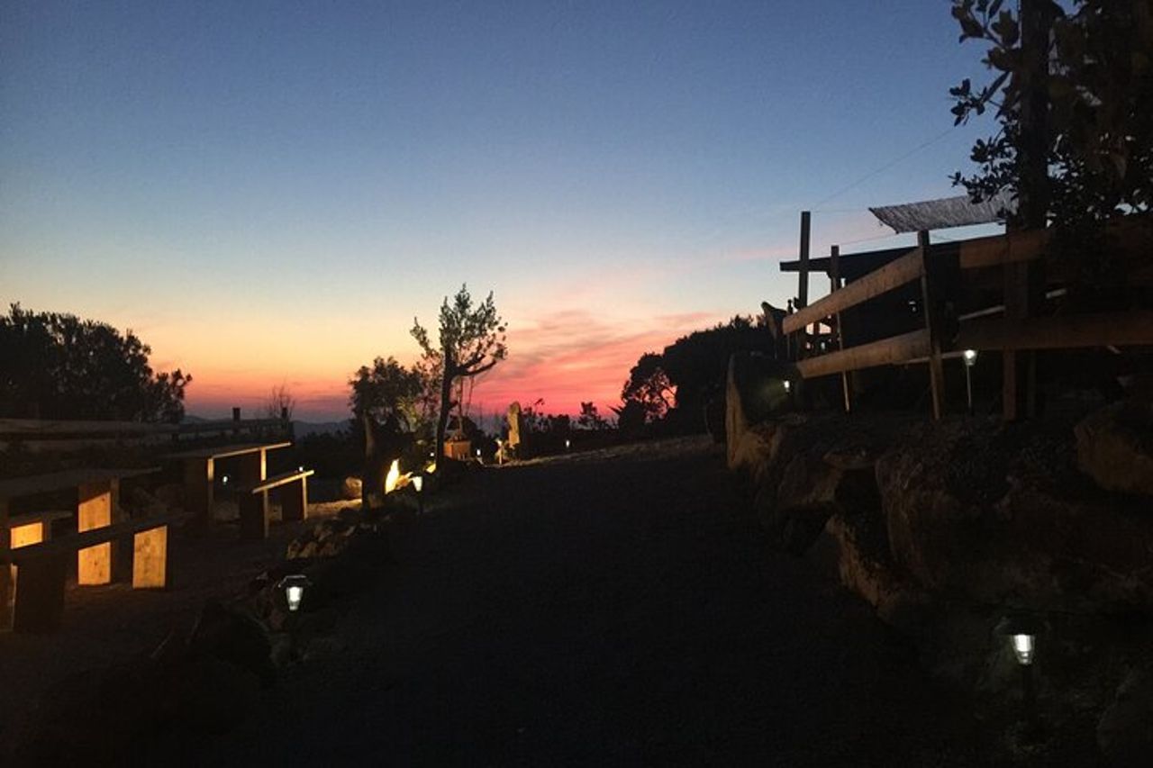 Esperienza di degustazione in Agriturismo all'Isola d'Elba — 3