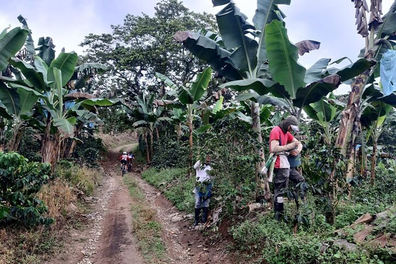 Eje Cafetero: 3 giorni di tour in bicicletta delle montagne del caffè — 3