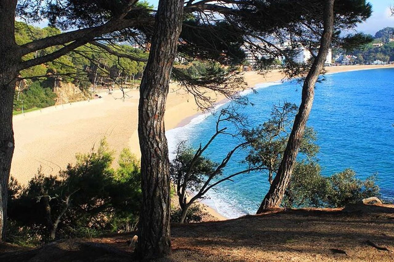 Tour guidato in kayak di 2 ore sulla Costa Brava — 6