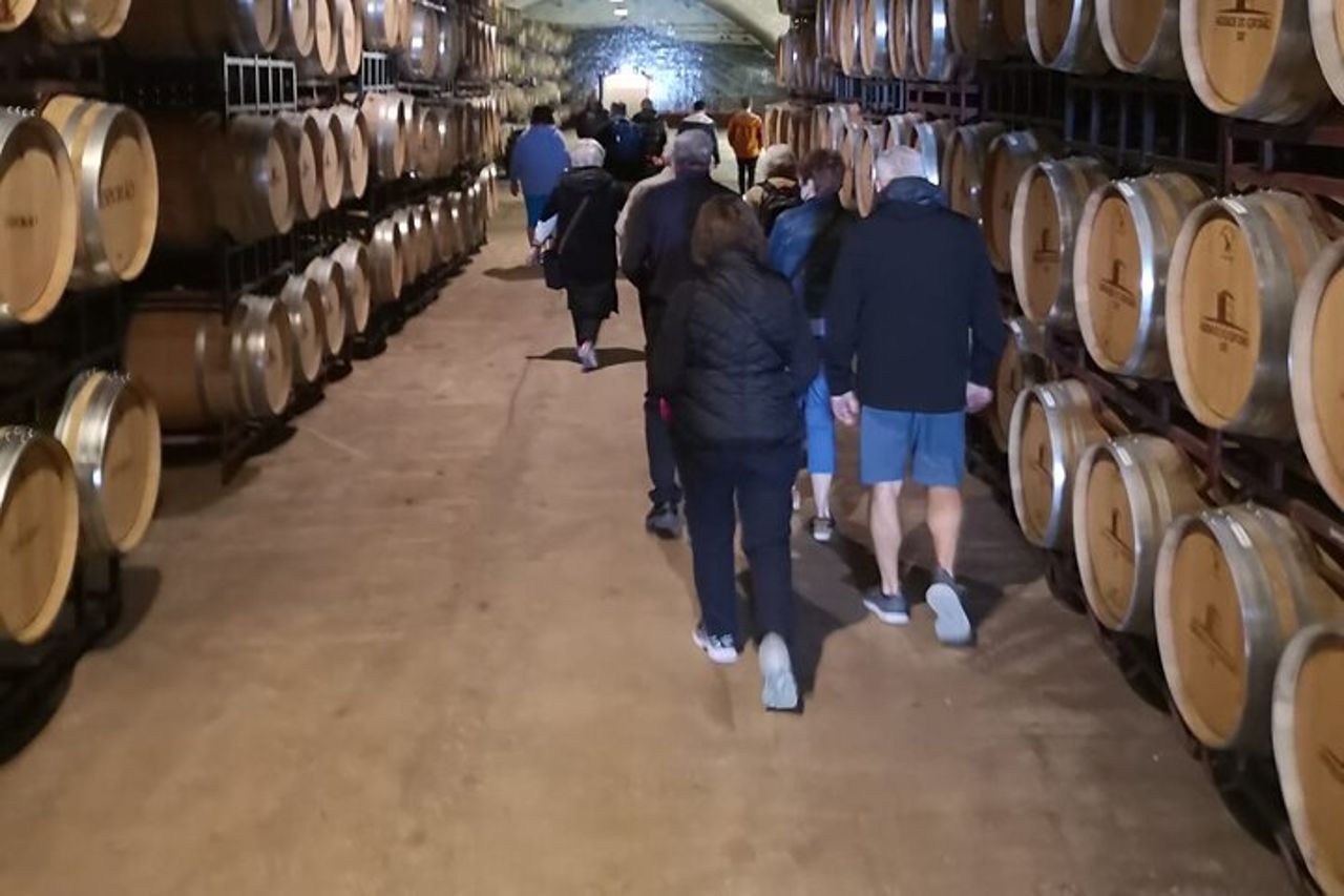 Tour privato di Évora - Fabbrica di sughero e azienda vinicola inclusi — 9