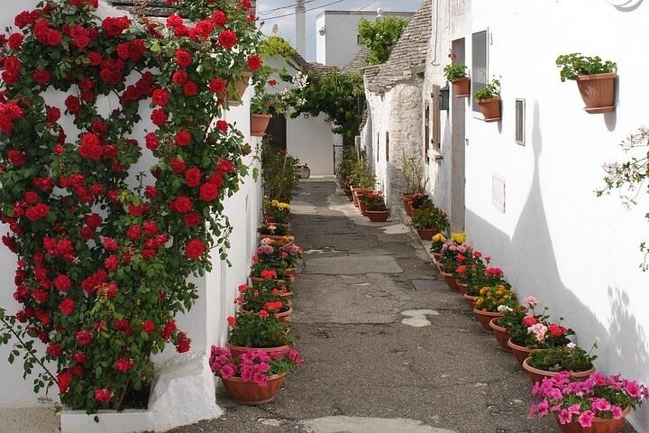 Alberobello with a local tour guide! — 2