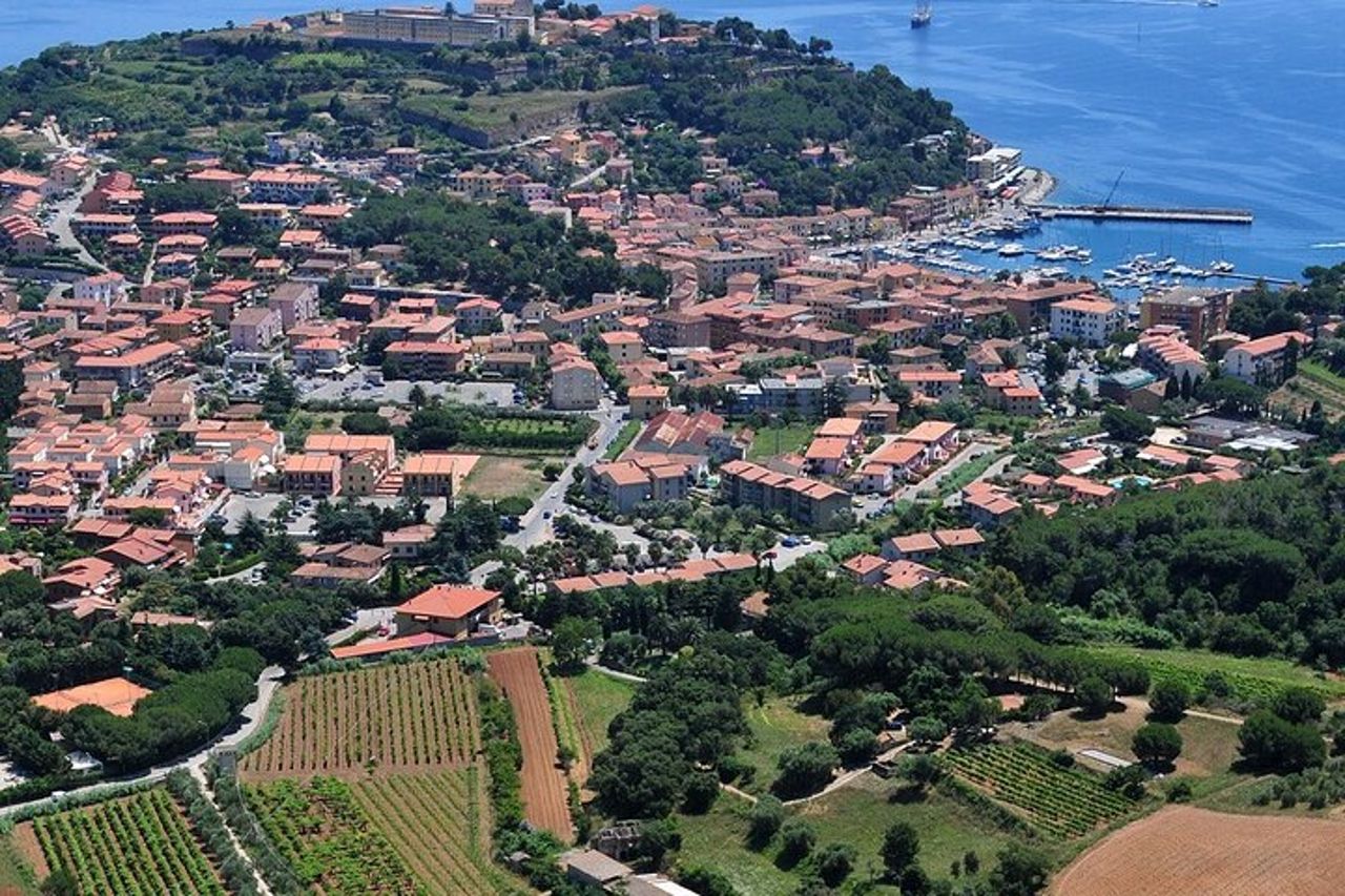 Autentica degustazione di vini dell'Elba con passeggiata in vigna e vista sul mare — 8