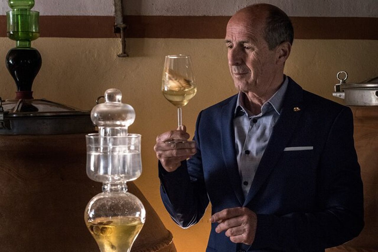Autentica degustazione di vini dell'Elba con passeggiata in vigna e vista sul mare — 9