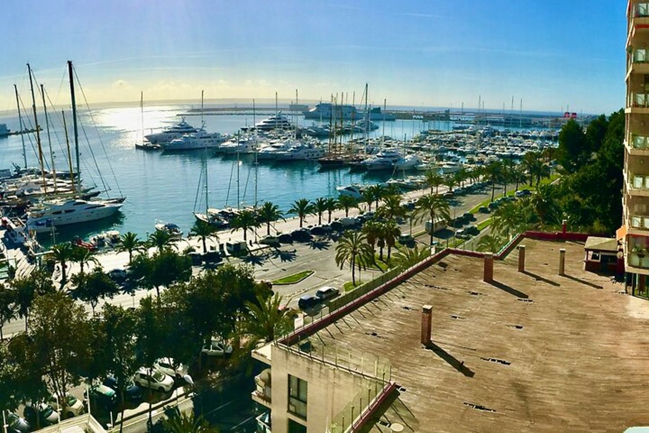 Caccia al tesoro e tour autoguidati di Palma di Maiorca — 7