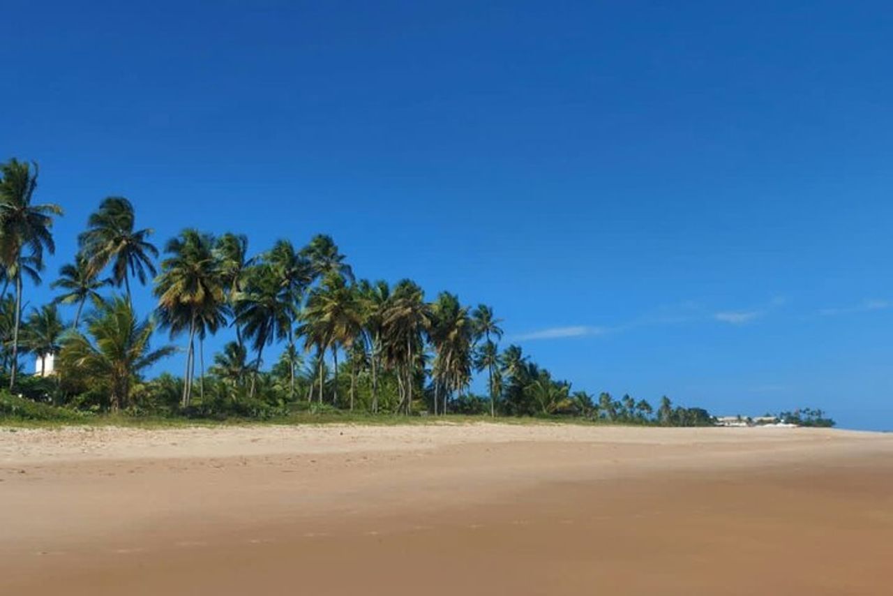 Tour privato a Praia do Forte e Praia de Guarajuba da Salvador — 8