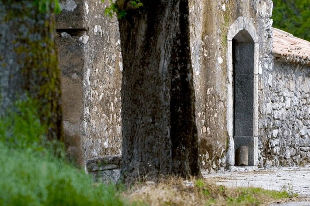 Tour in cantina ai Feudi di San Gregorio da Sorrento — 2