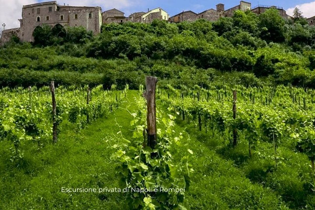 Tour in cantina ai Feudi di San Gregorio da Sorrento — 3