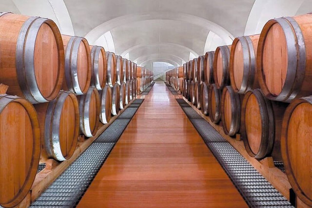 Tour in cantina ai Feudi di San Gregorio da Sorrento — 6
