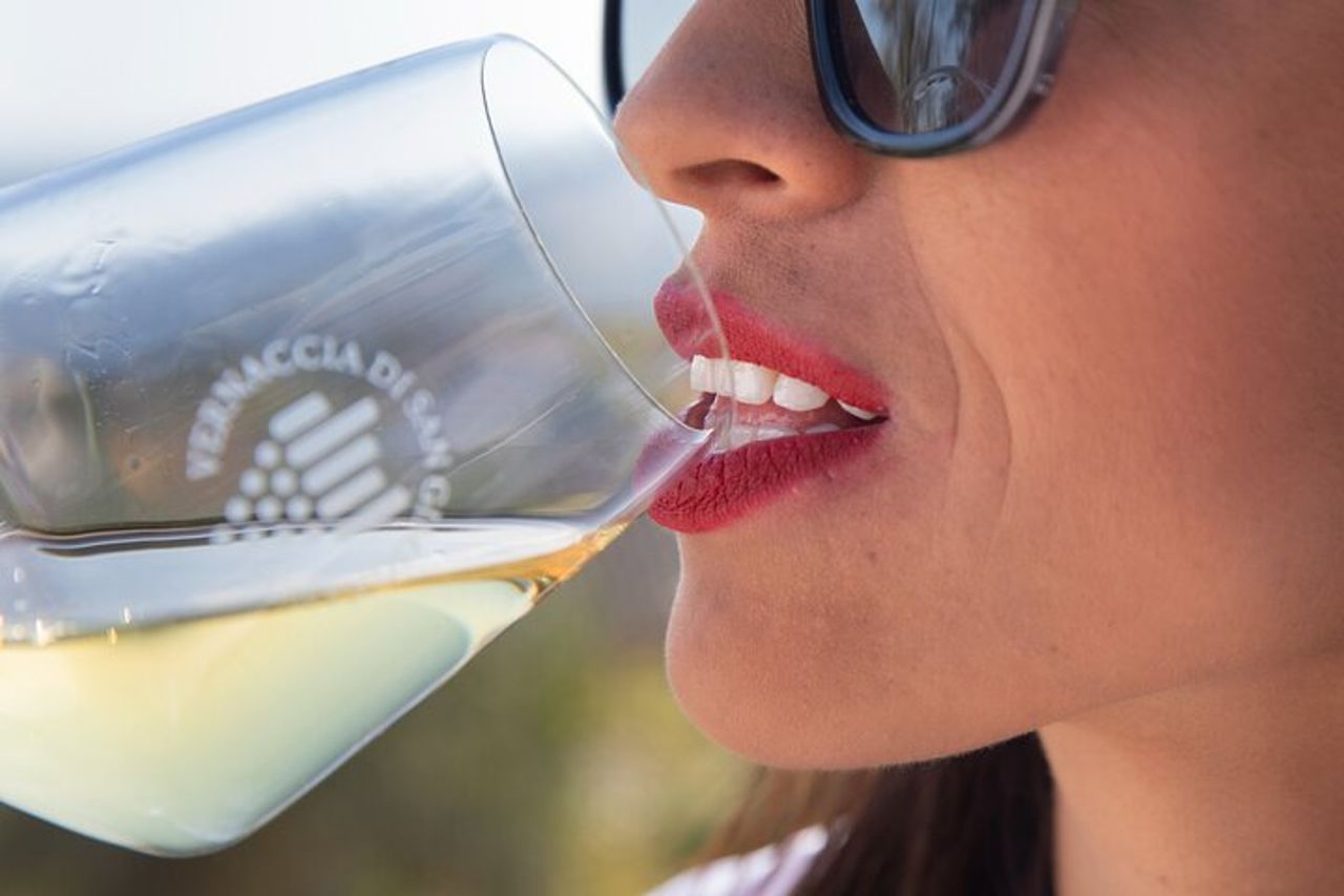 Lezione Enogastronomica e Degustazione di Vini a San Gimignano — 7