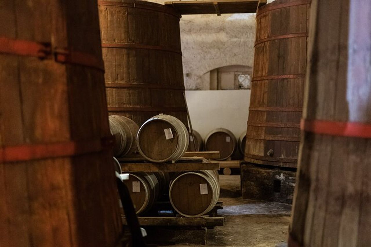 3-Ore di Attività con Safari Grand Tour e Degustazione in Vigneti — 9
