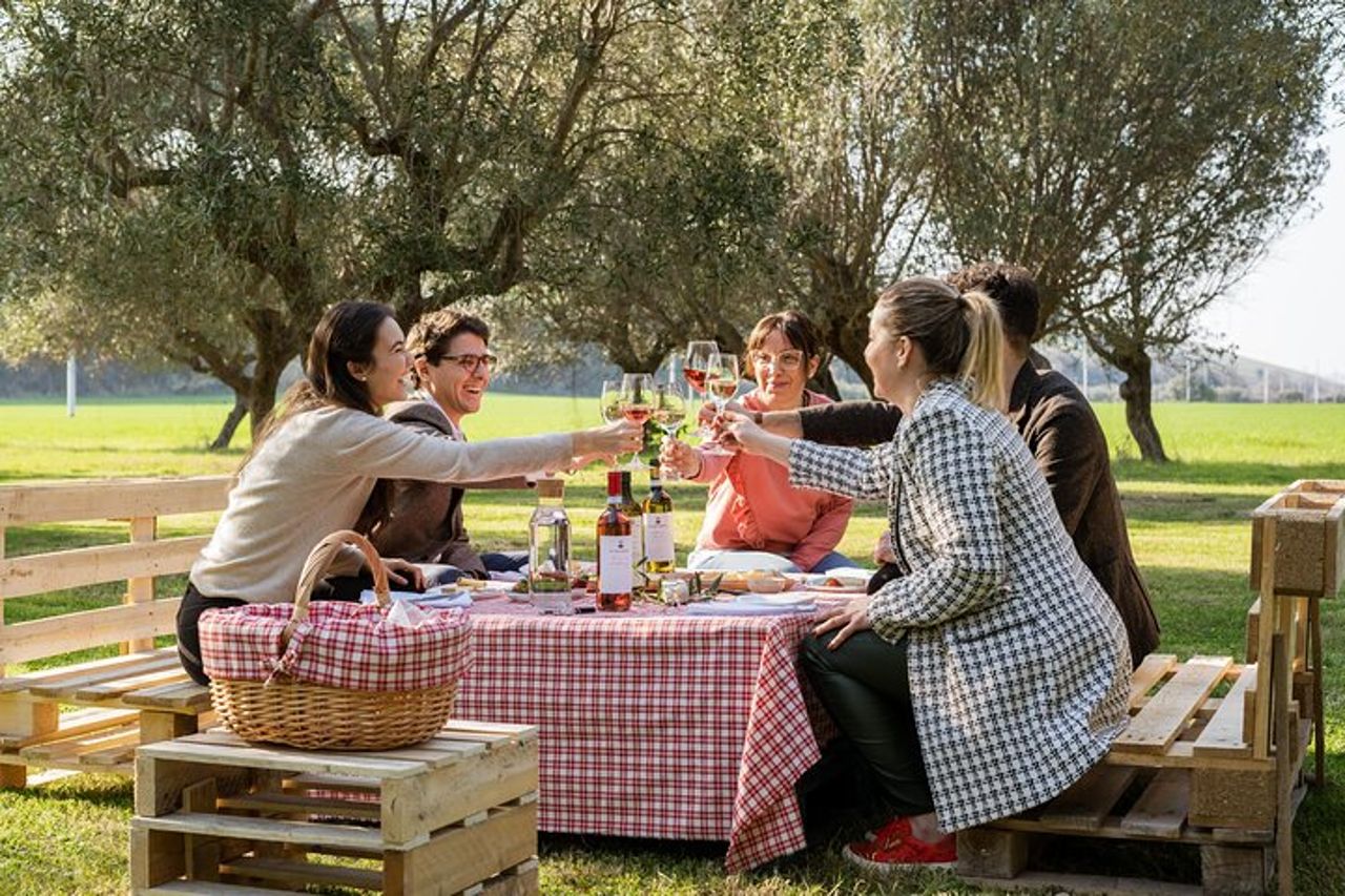 2-Ore di Picnic tra gli Ulivi con Prodotti Tipici Abruzzesi