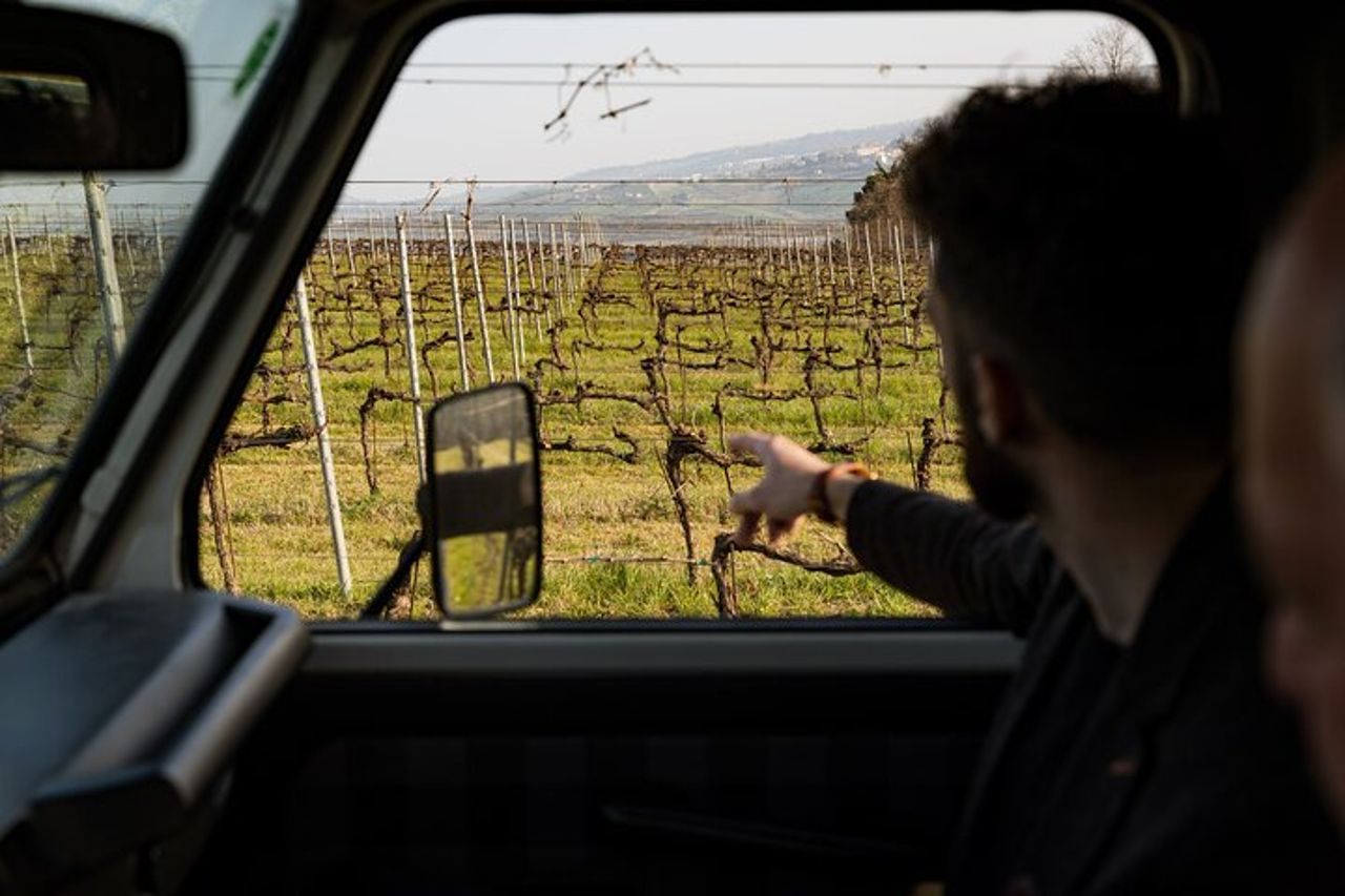 3-Ore di Attività con Safari Grand Tour e Degustazione in Vigneti — 2
