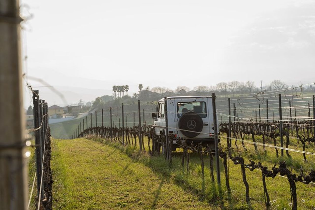 3-Ore di Attività con Safari Grand Tour e Degustazione in Vigneti — 3