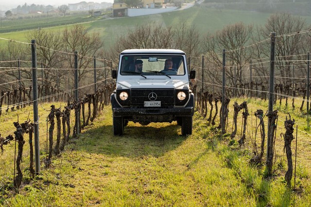 3-Ore di Attività con Safari Grand Tour e Degustazione in Vigneti — 4