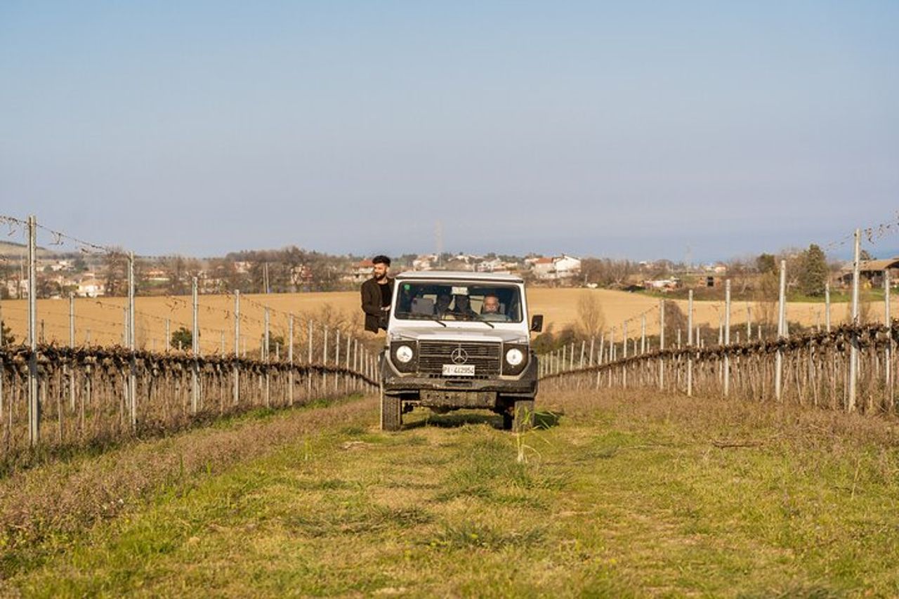 3-Ore di Attività con Safari Grand Tour e Degustazione in Vigneti — 6