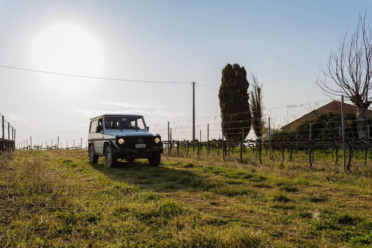 3-Ore di Attività con Safari Grand Tour e Degustazione in Vigneti — 8