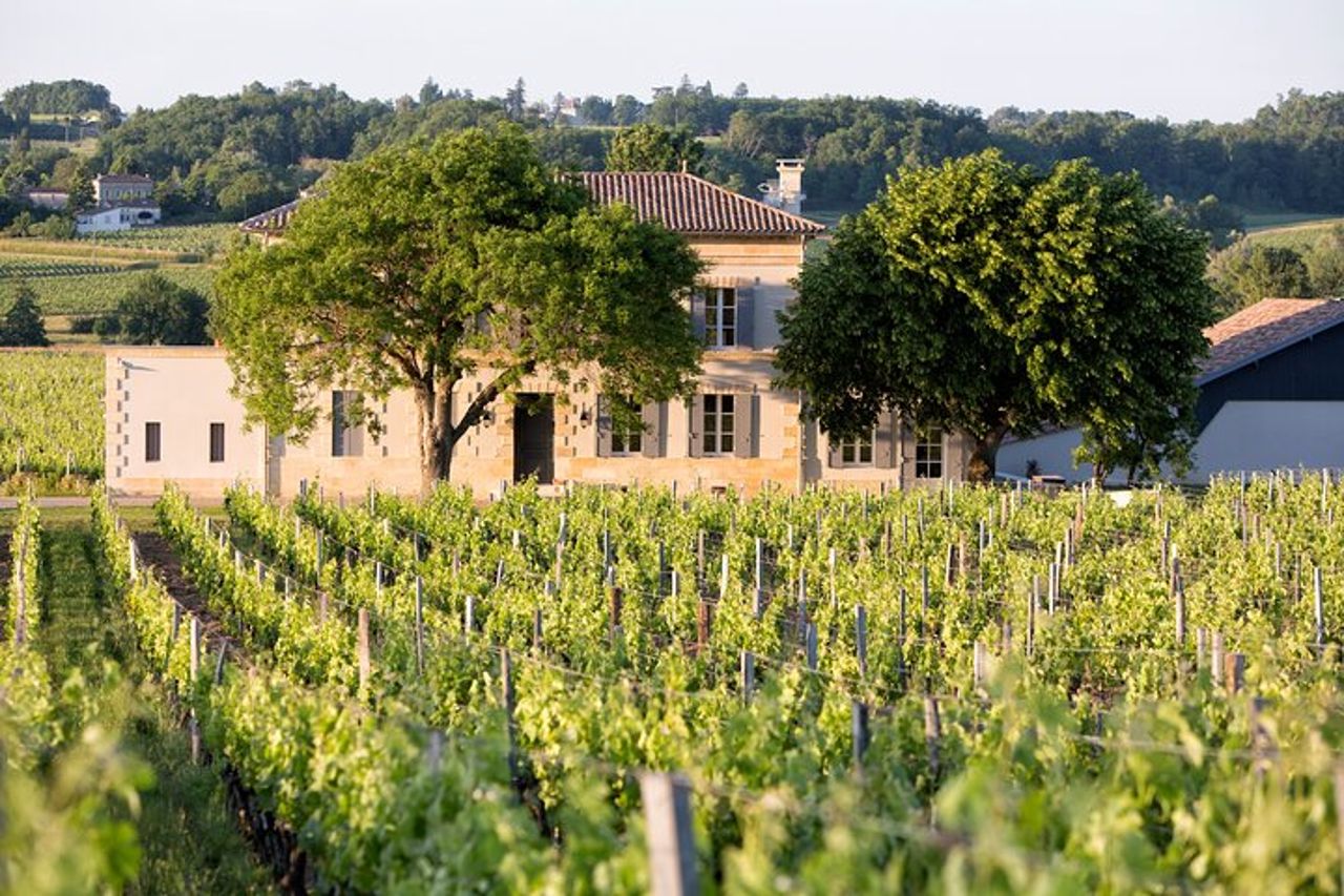 Tour di mezza giornata di Saint Emilion con degustazione di vini e visita della cantina da Bordeaux — 2