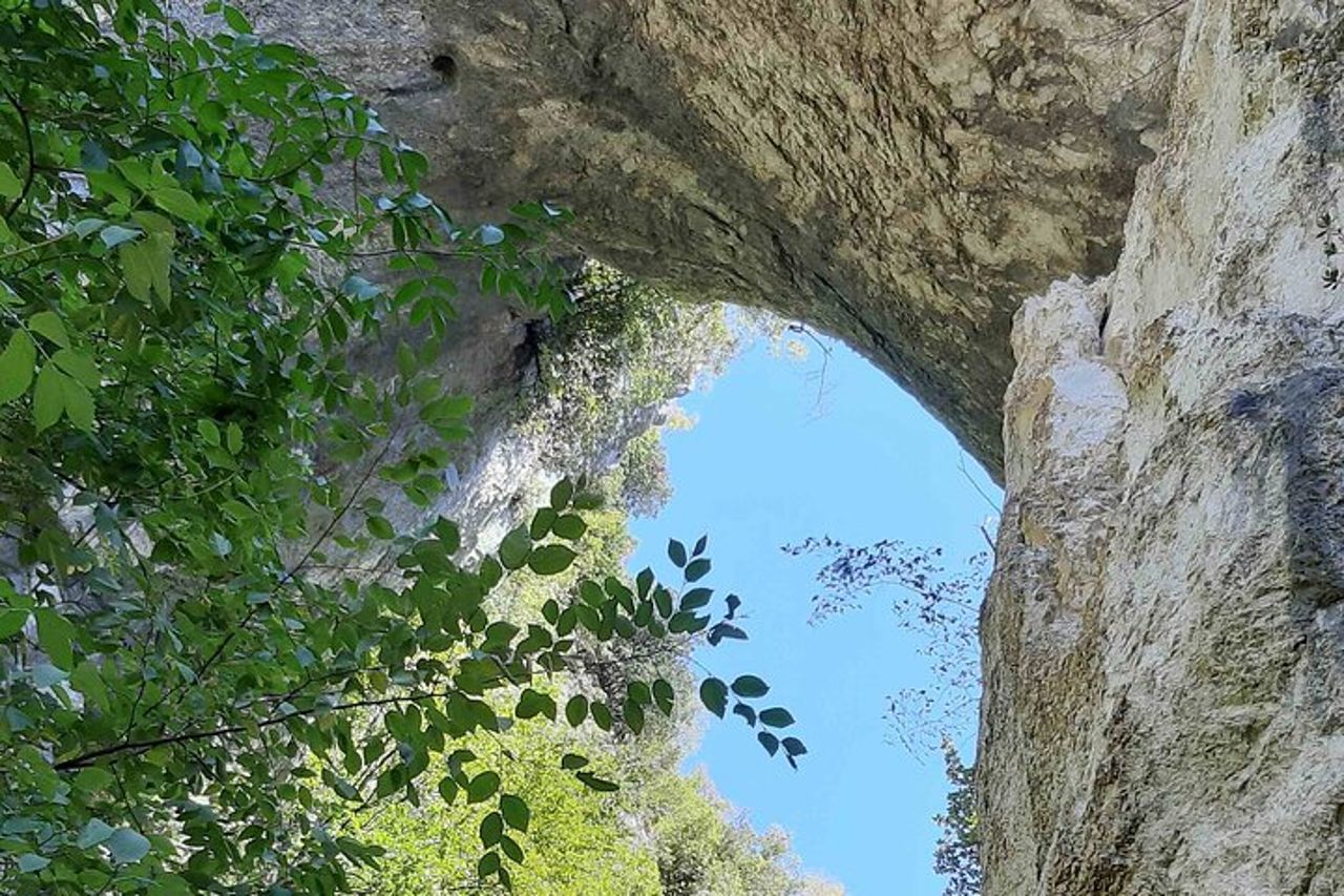 Mezza Giornata in Tour Privato Guidato al Monte Nerone con Brunch — 4