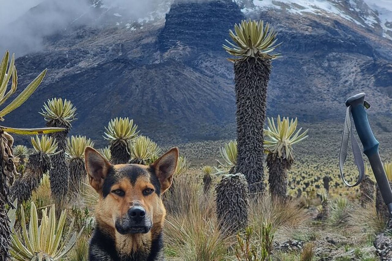 Escursione al vulcano Nevado del Tolima — 2