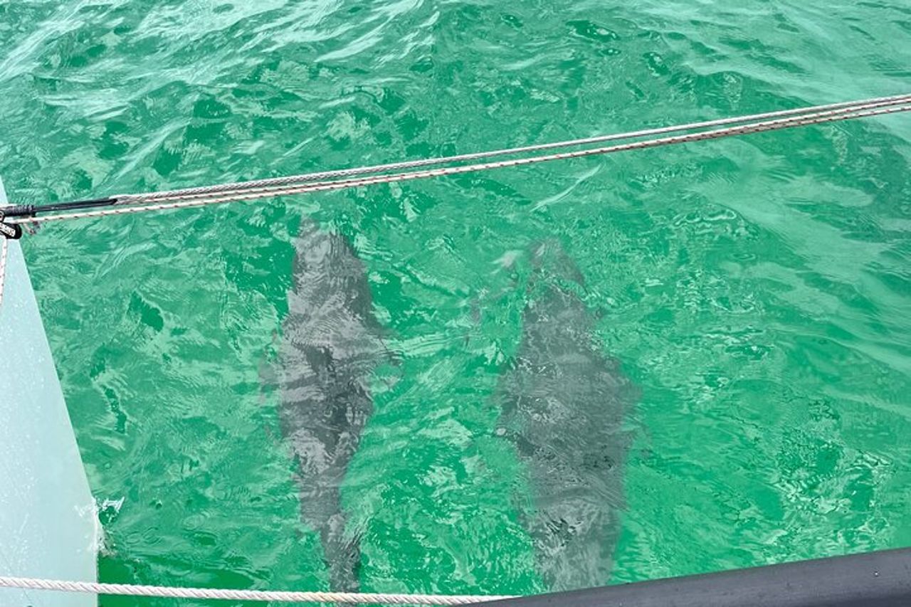 Avventure in barca a vela Attività di 3 ore a Destin — 8