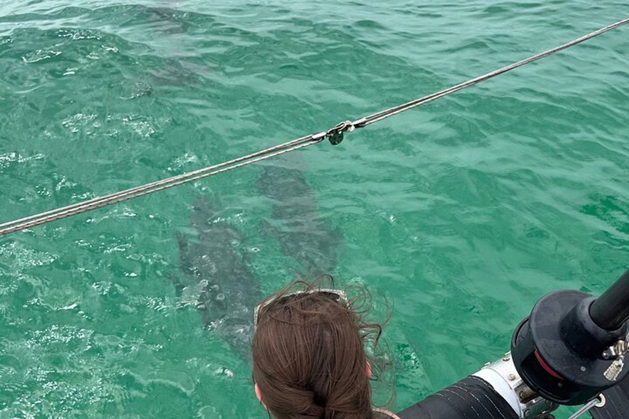 Avventure in barca a vela Attività di 3 ore a Destin — 9
