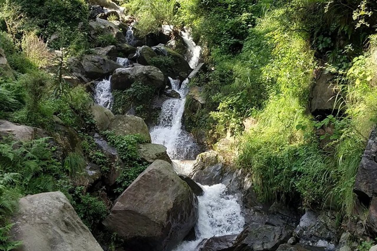 Tour privato della città di Mcleodganj e Dharamshala di 6 ore — 3