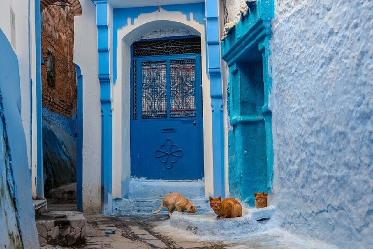 Gita di un giorno da Fes a Chefchaouen — 7