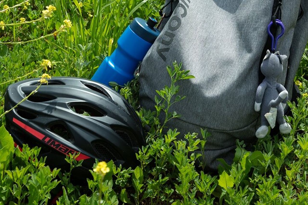 Giornata in Tour Guidato alla Scoperta dei Castelli Marchigiani