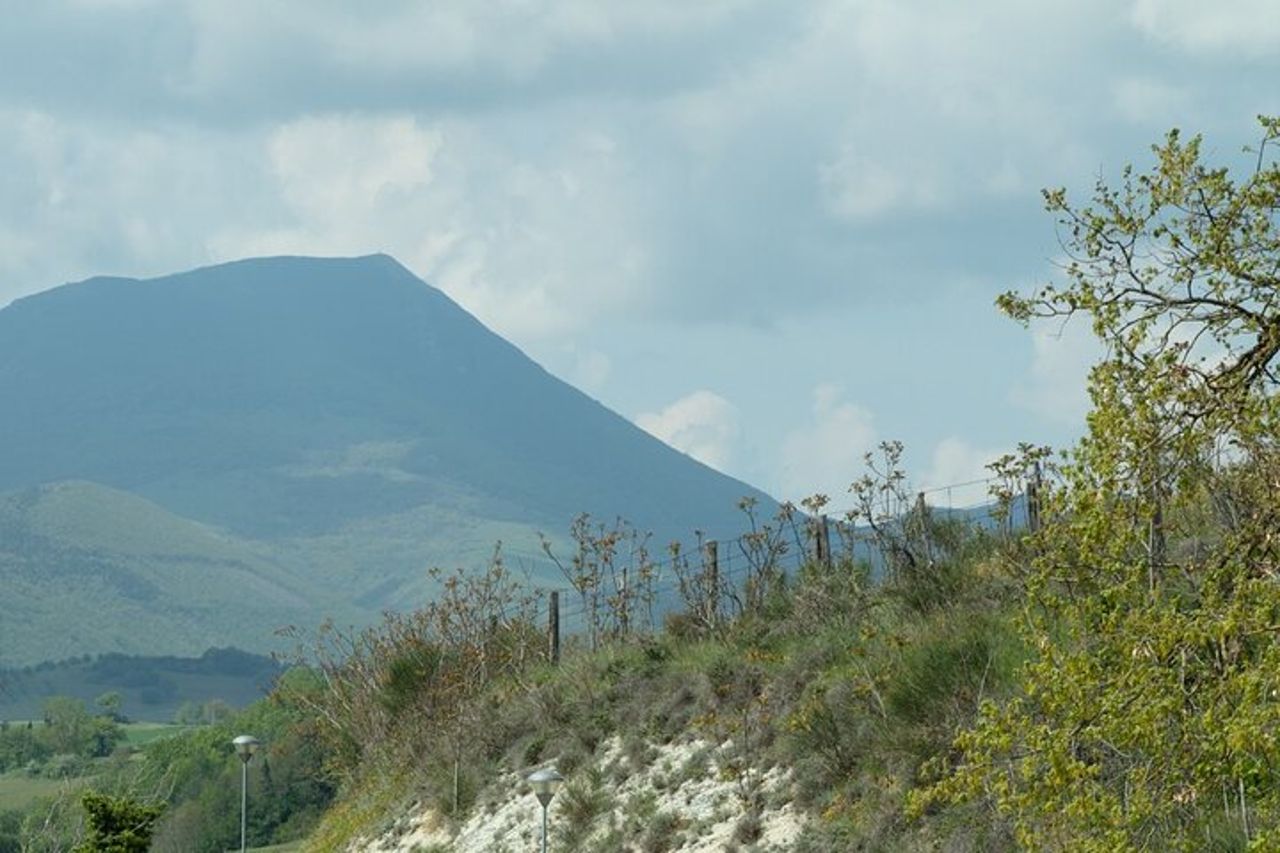 Giornata in Tour Guidato alla Scoperta dei Castelli Marchigiani — 2