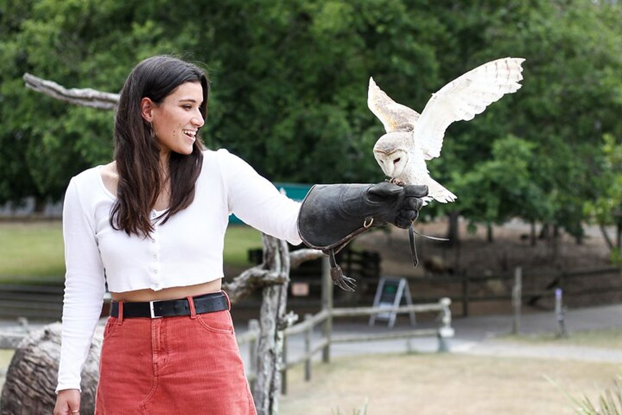 Biglietto giornaliero per il Lone Pine Koala Sanctuary — 6