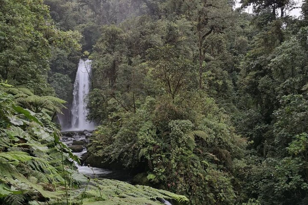 Cascate del vulcano Poas e tour del caffè da San Jose — 6
