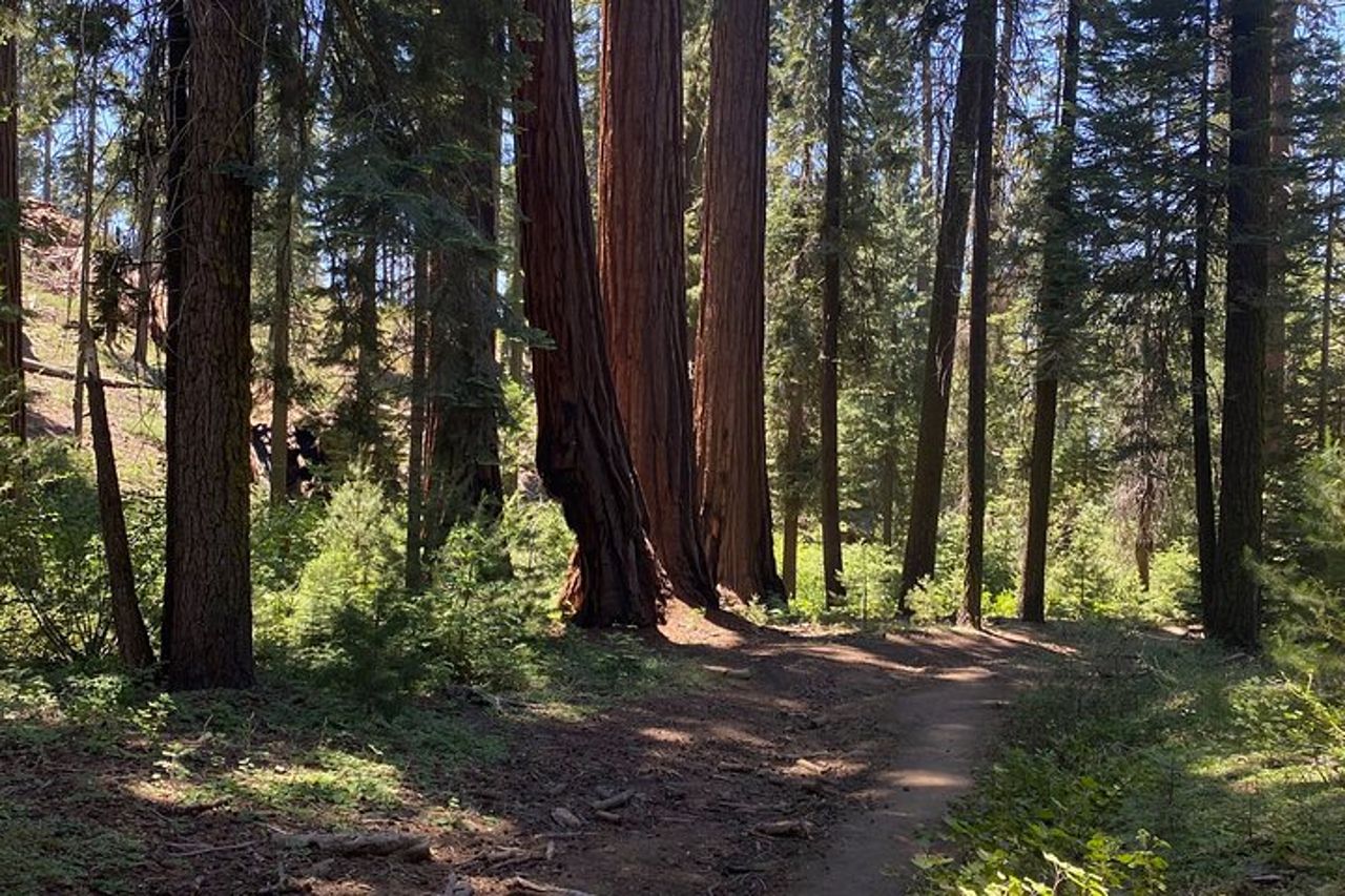 Tour di un giorno al Parco Nazionale del Kings Canyon