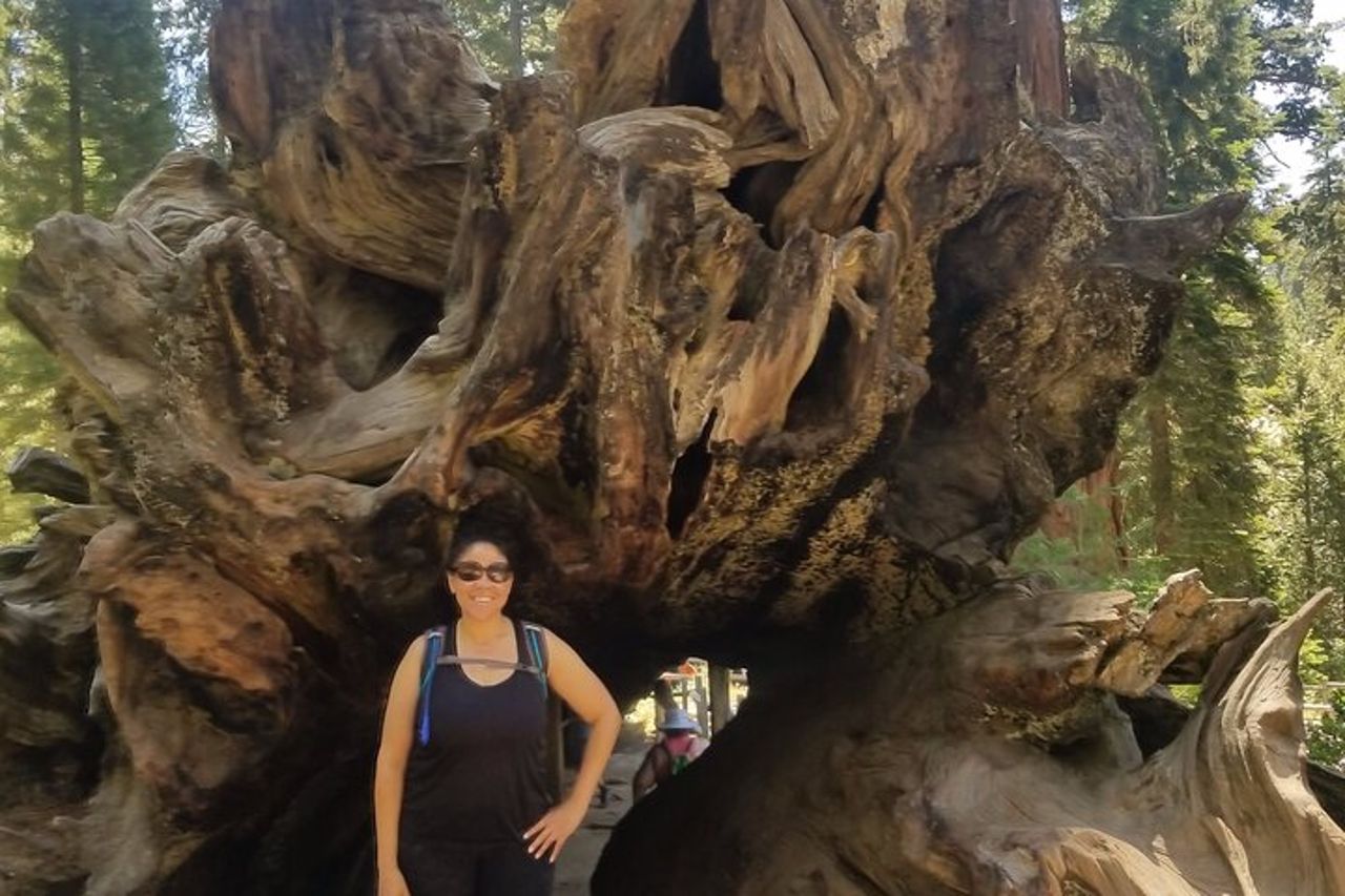 Tour di un giorno al Parco Nazionale del Kings Canyon — 3