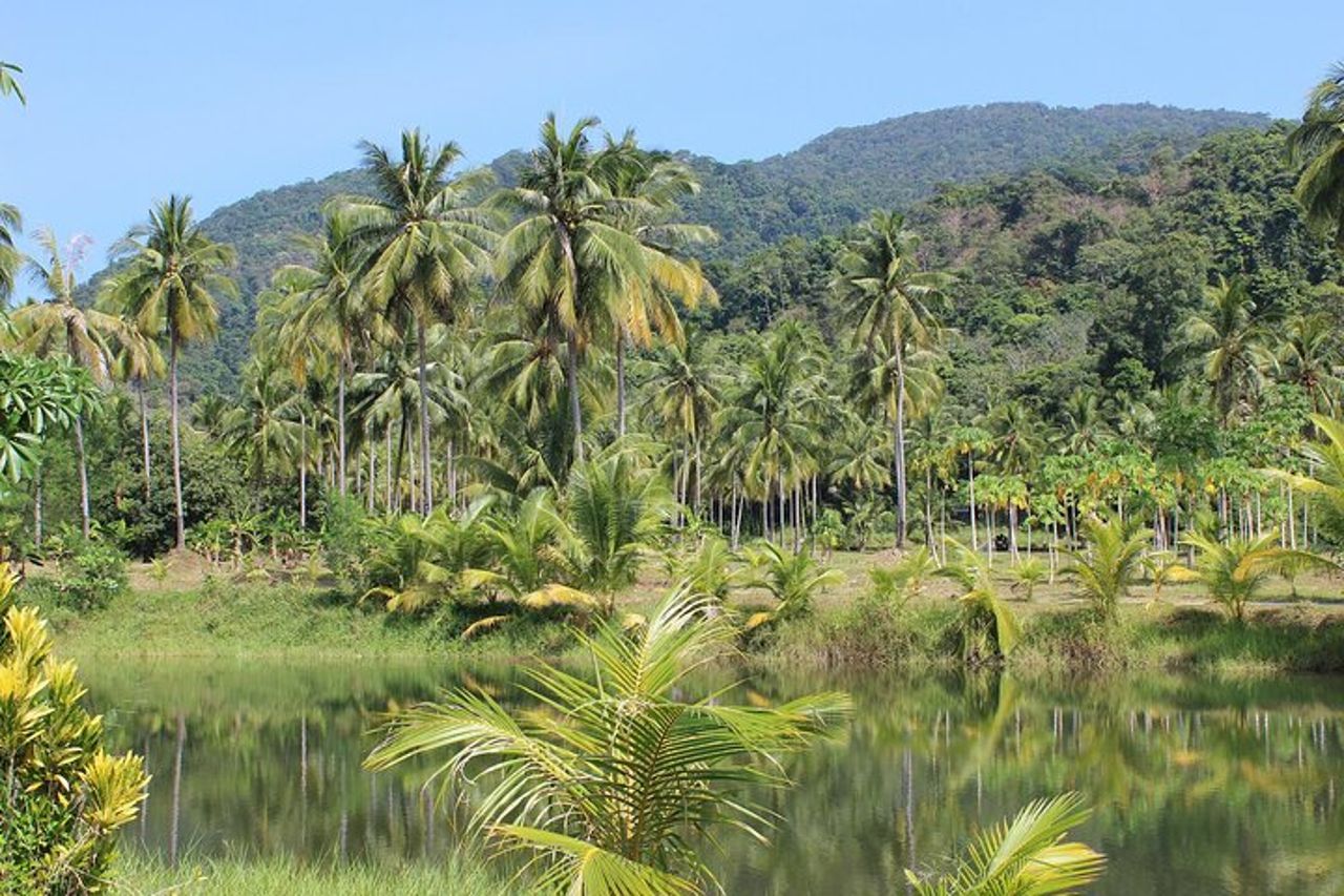 Tour di 4 giorni a Iquitos in Perù — 4