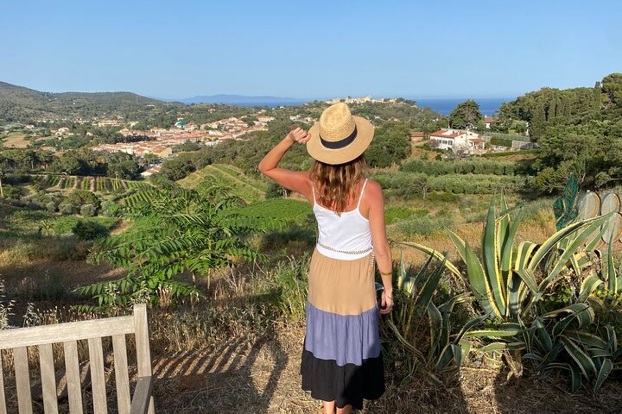 Autentica degustazione di vini dell'Elba con passeggiata in vigna e vista sul mare