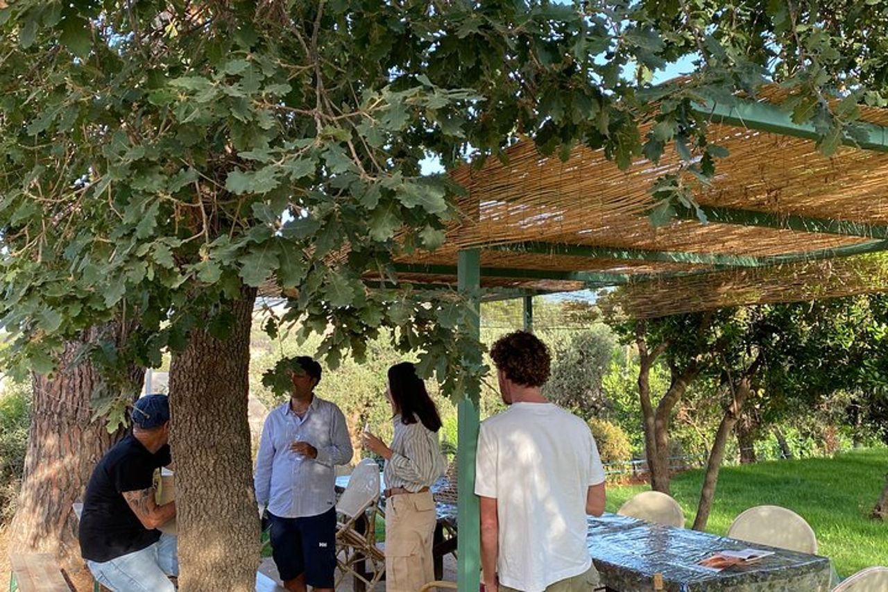 Autentica degustazione di vini dell'Elba con passeggiata in vigna e vista sul mare — 4