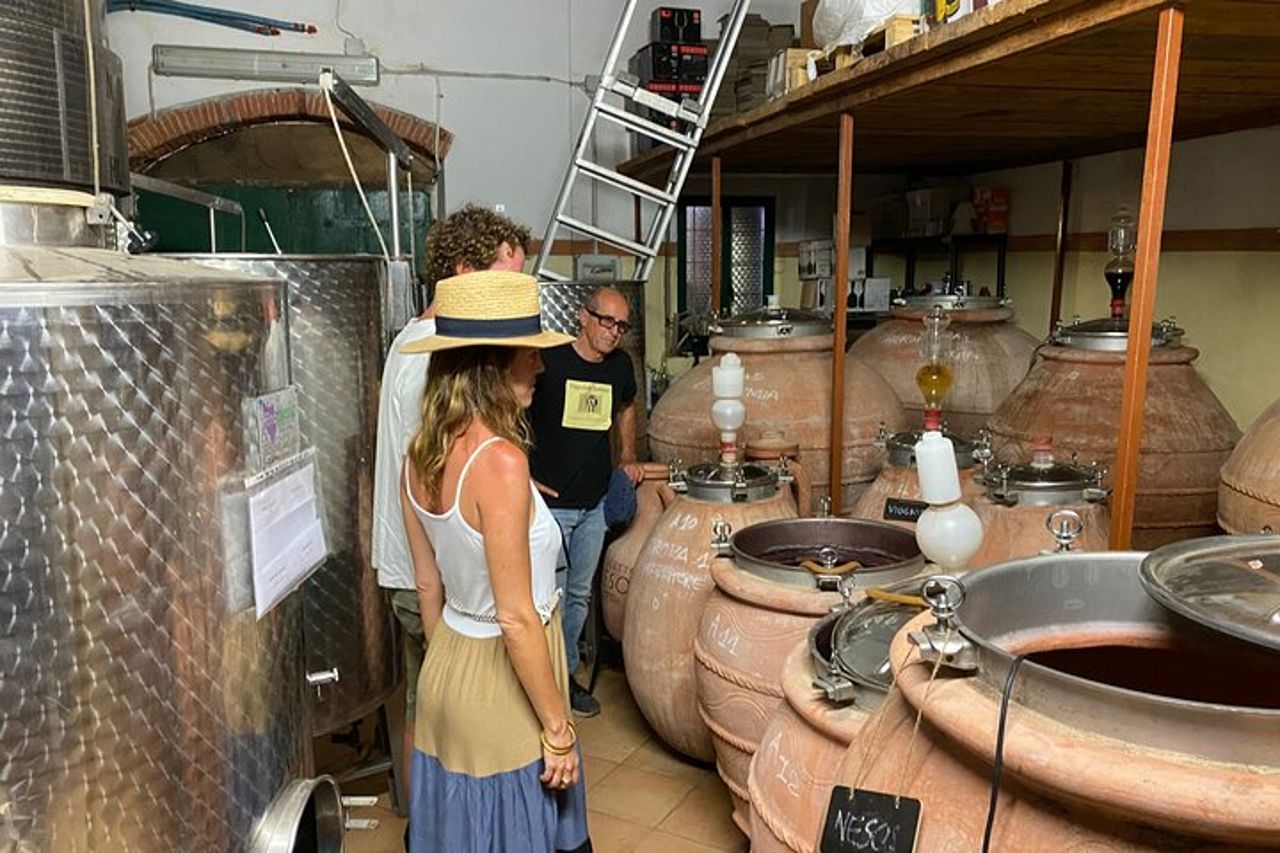 Autentica degustazione di vini dell'Elba con passeggiata in vigna e vista sul mare — 3