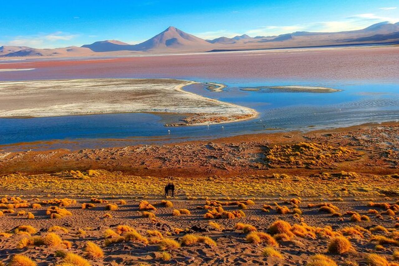 Uyuni Salt Flat + Death Road / Tour di 5 giorni dalla città di La Paz — 9