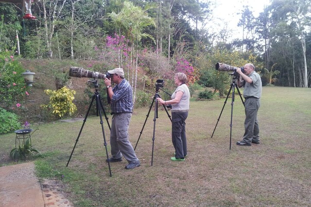 Birdwatching Pipeline Road a partire da Cruise Port Colon 2000 — 7