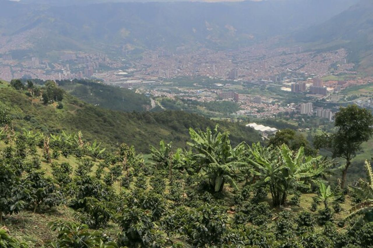 Tour del caffè e spa di Medellin — 8