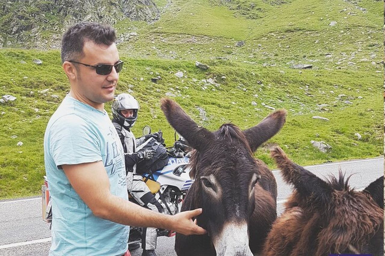 Tour privato di 10 giorni della Romania con ritiro — 8