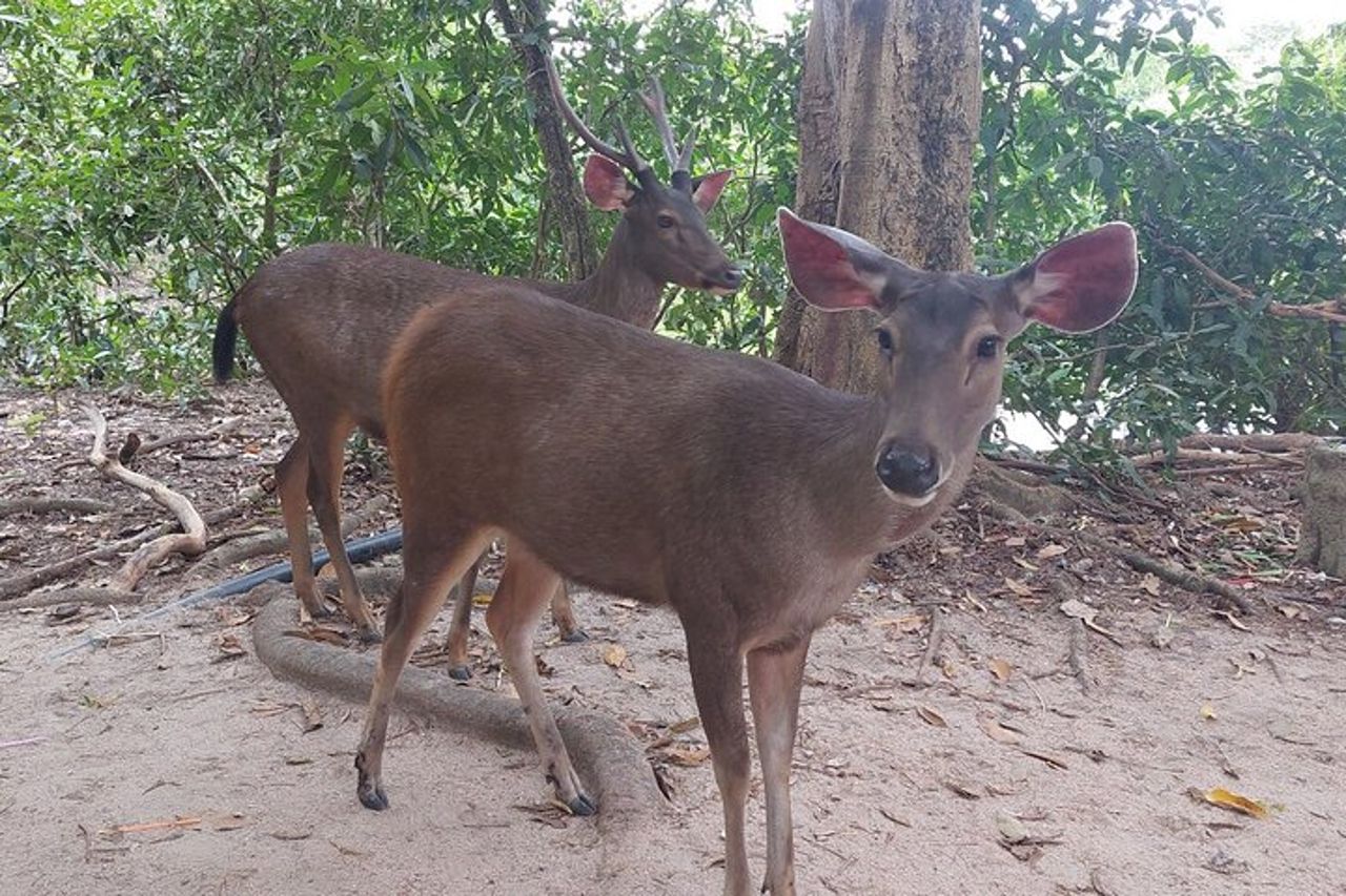 Una gita di un giorno a Phnom Chisor - Tonle Batti da Phnom Penh — 8