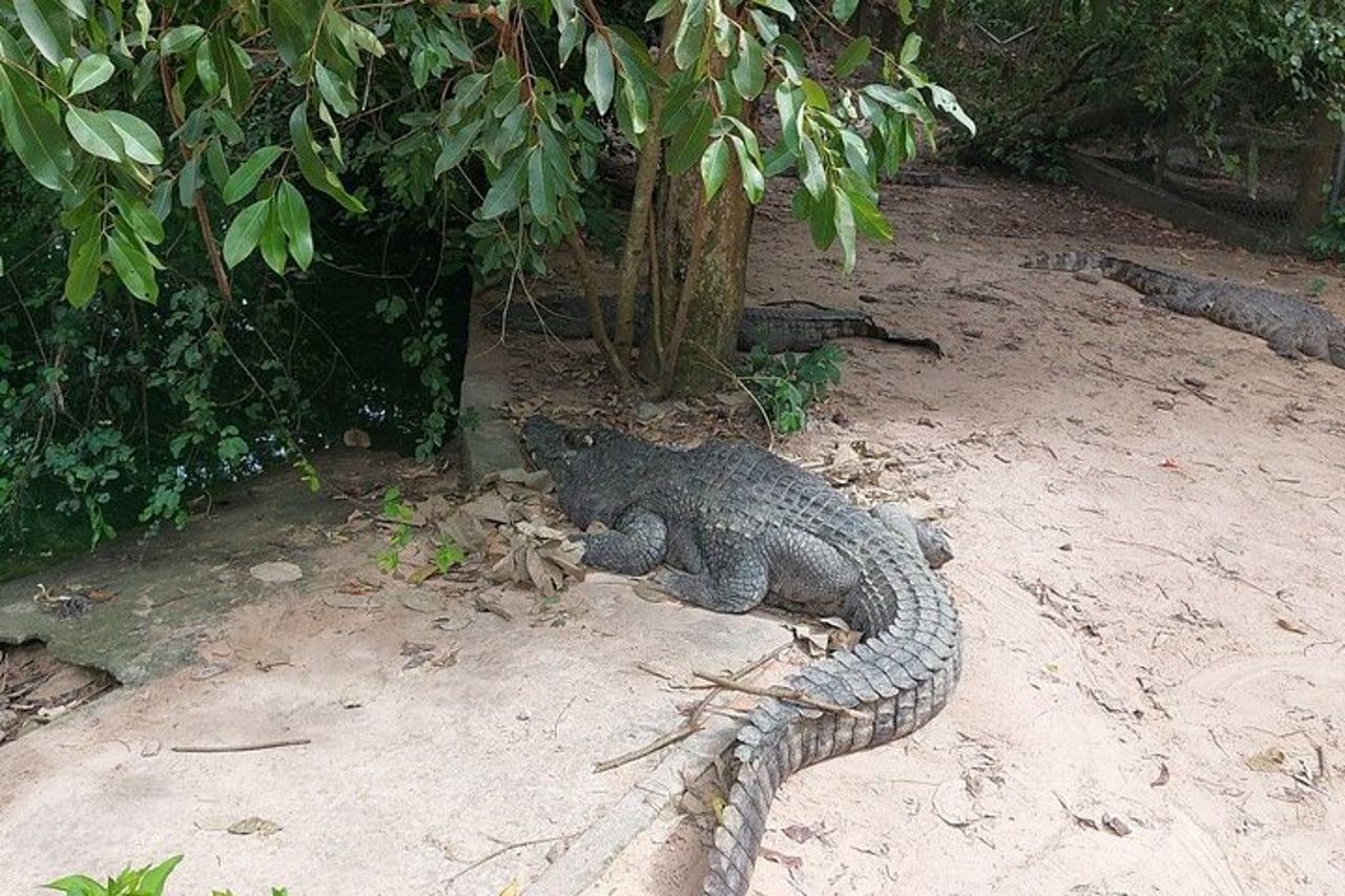 Una gita di un giorno a Phnom Chisor - Tonle Batti da Phnom Penh — 9
