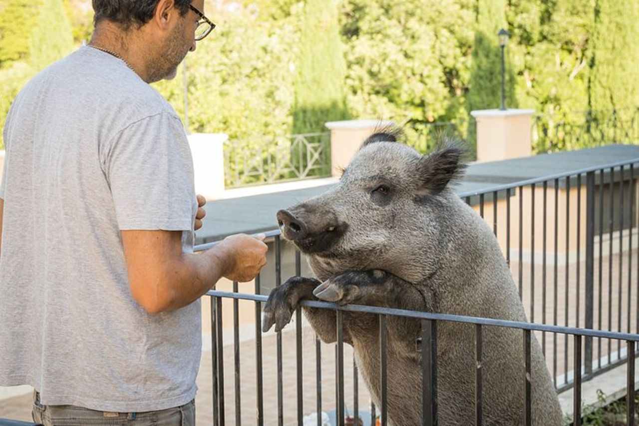 Visita Privata agli Animali del Borgo Incantato a Spoleto — 5