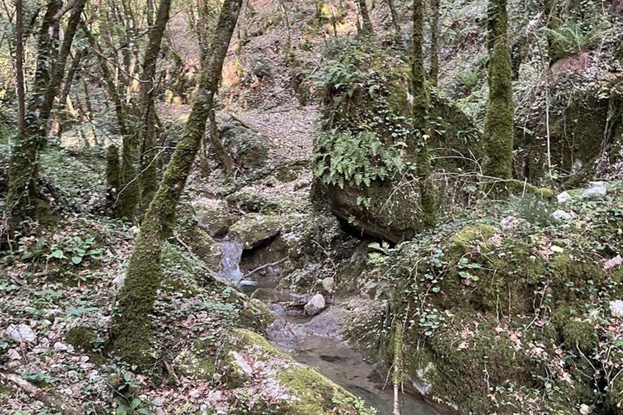 Tour Privato Guidato alle Cascate nel Bosco al Borgo Incantato — 3