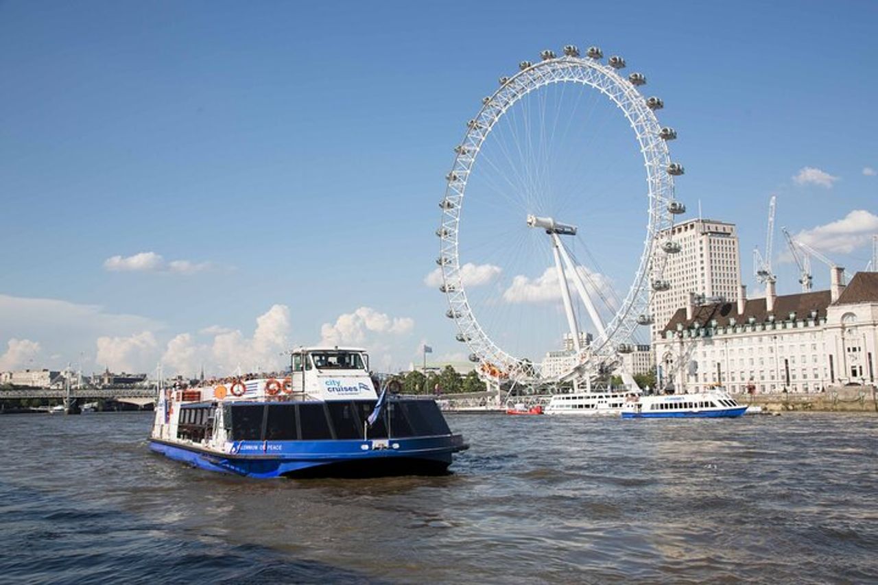 Tour guidato della Royal London e crociera sul Tamigi — 8