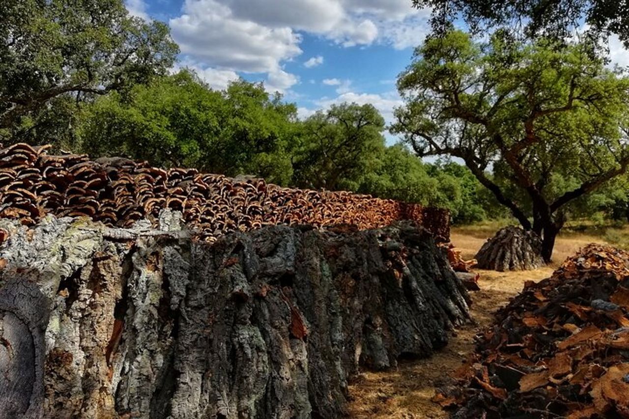 Tour di 2 ore a Cork in jeep — 8