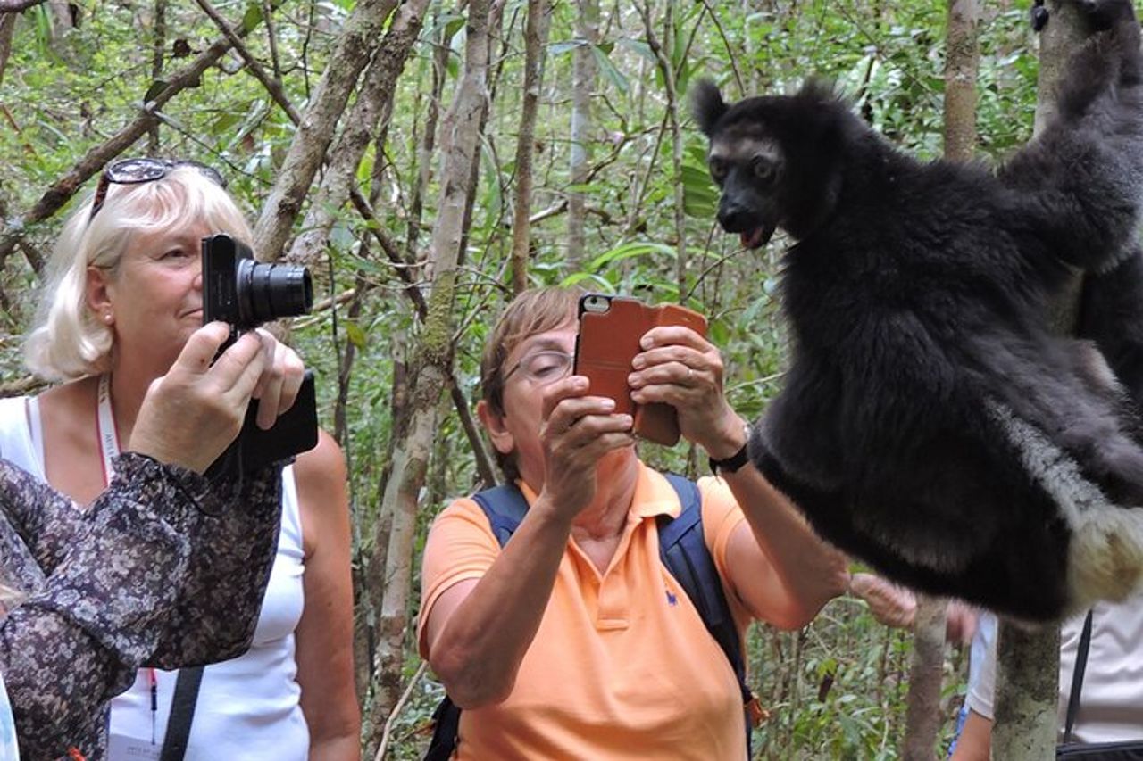 Madagascar in 7 giorni. Spedizione nella fauna selvatica e immersione nella cultura