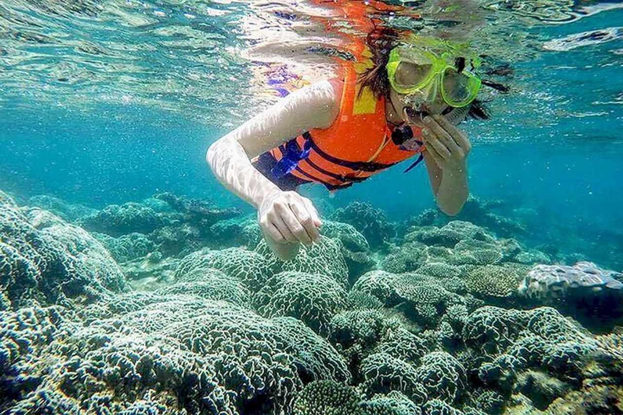 Da Da Nang/ Hoi An: Tour di un giorno sull'isola di Cham con snorkeling — 8